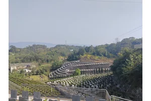 探析墓地行业的工资现状与趋势