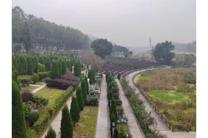 龙台山陵园，群众安葬需求