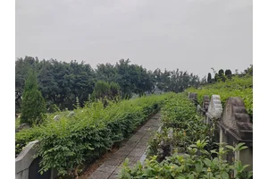 墓碑来纪念逝去的亲人