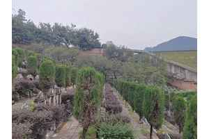 陵园销售宣传途径