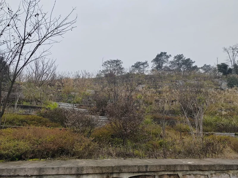 thumb_IMG_20230112_100328